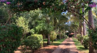 Granja en Tavapy, Alto Paraná, Paraguay