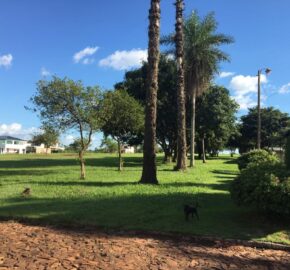 Terreno en Barrio Cerrado Ayres del Este