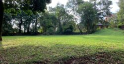 Calle Argentina Sur
